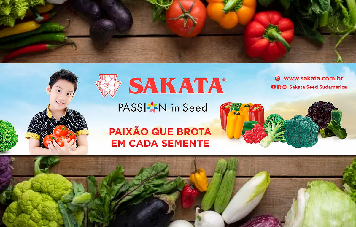 Sakata Seed Sudamérica