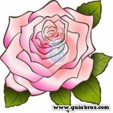 Projeto Rosa