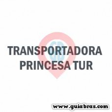 TRANSPORTADORA PRINCESA TUR
